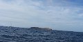 h molokini